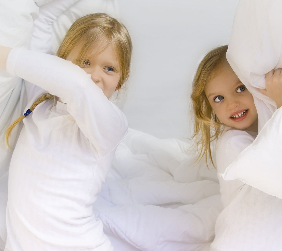 DUST MITE  REPELLERS AND AIR PURIFIERS