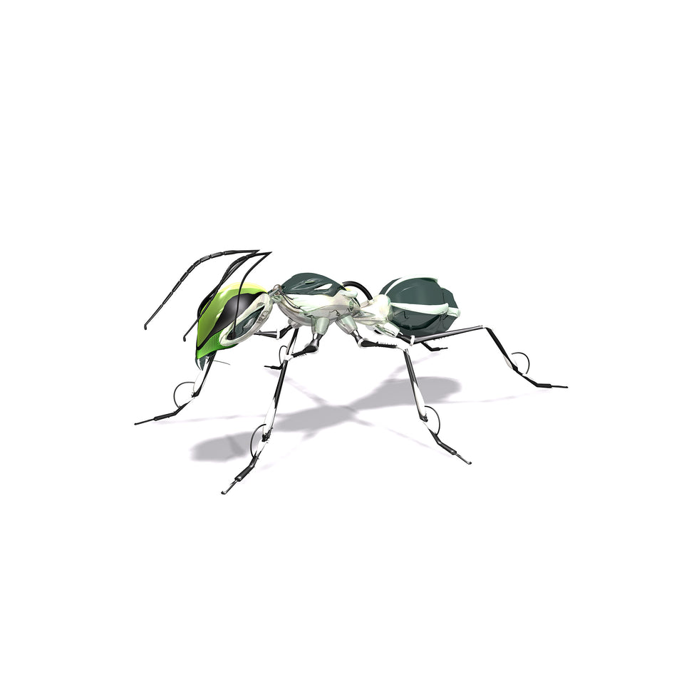 collections/radarcan-ant-hormiga-1920x1920.jpg